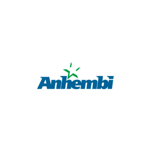 CLIENTE ANHEMBI LOGO